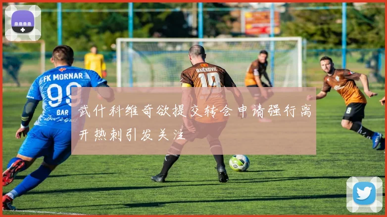 武什科维奇欲提交转会申请强行离开热刺引发关注